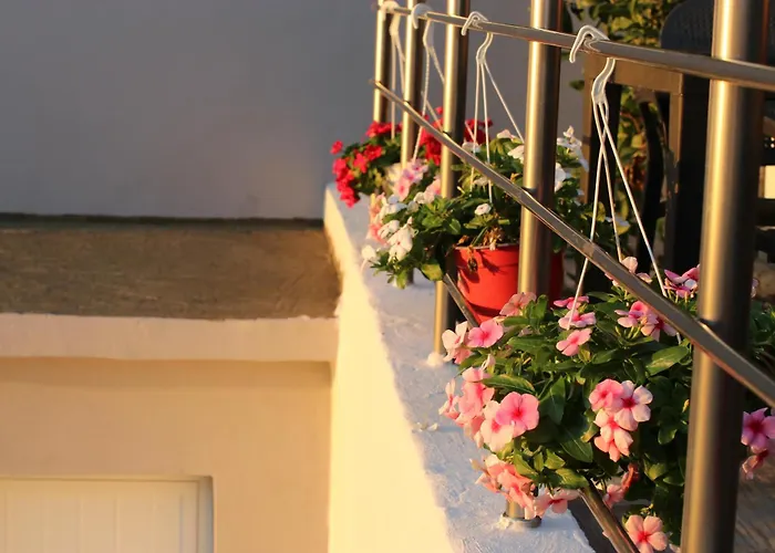 Guest house Elarad 4*